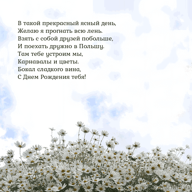 Открытка с ромашками