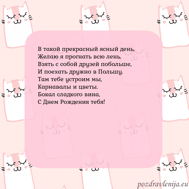 Розовая открытка с забавными кошками
