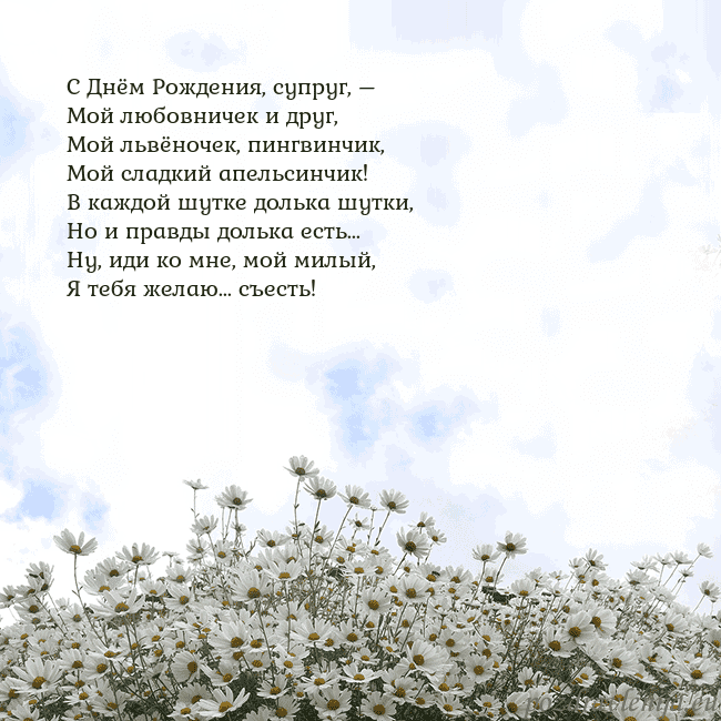 Открытка с ромашками