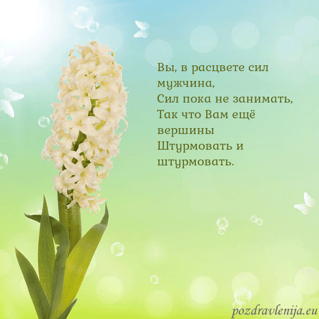 Открытка с гиацинтом