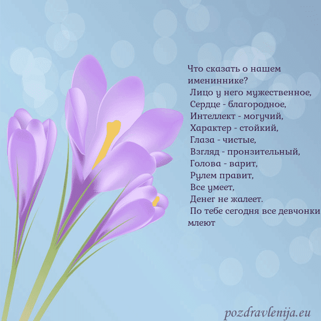 Открытка с крокусом