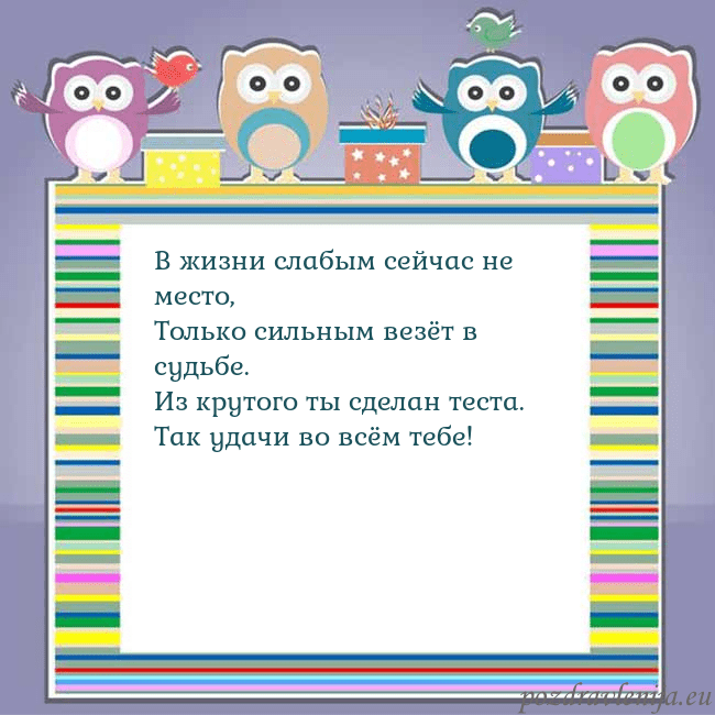 Открытка с совами