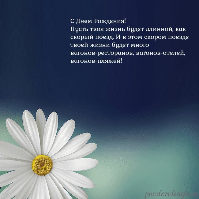 Открытка с большой ромашкой