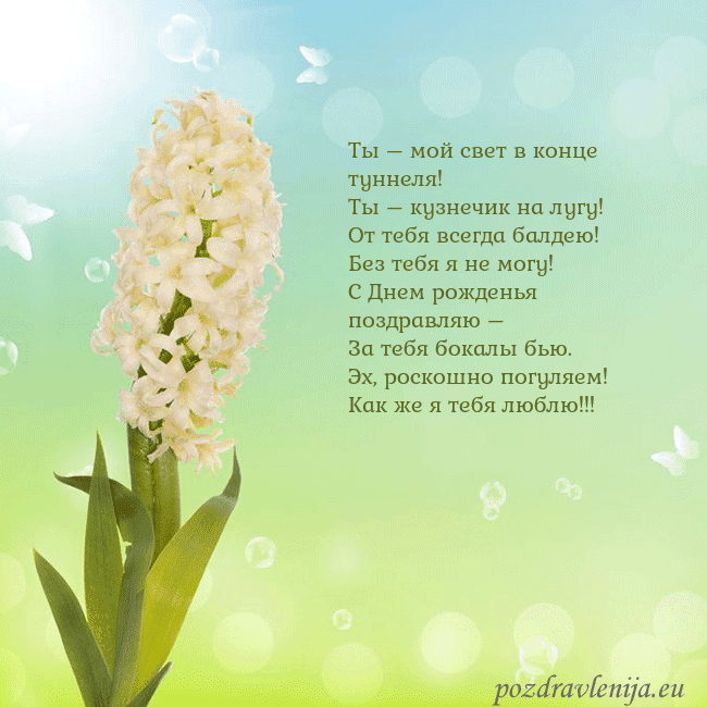 Открытка с гиацинтом