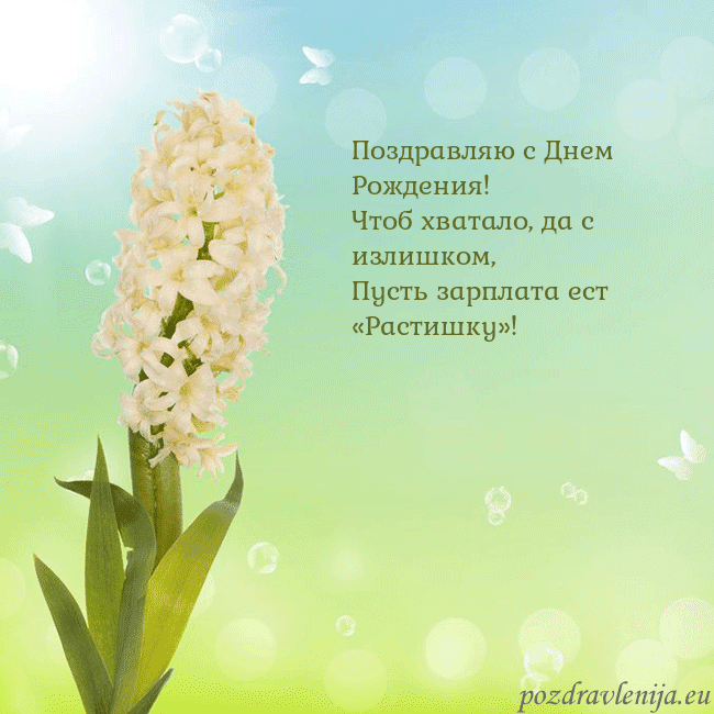 Открытка с гиацинтом