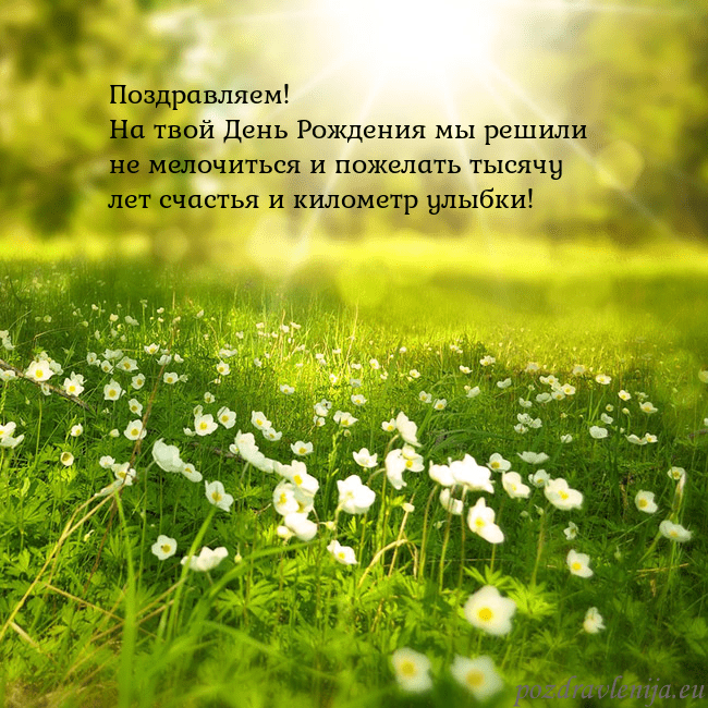 Электронная открытка с утопающим в солнечном свете лугом