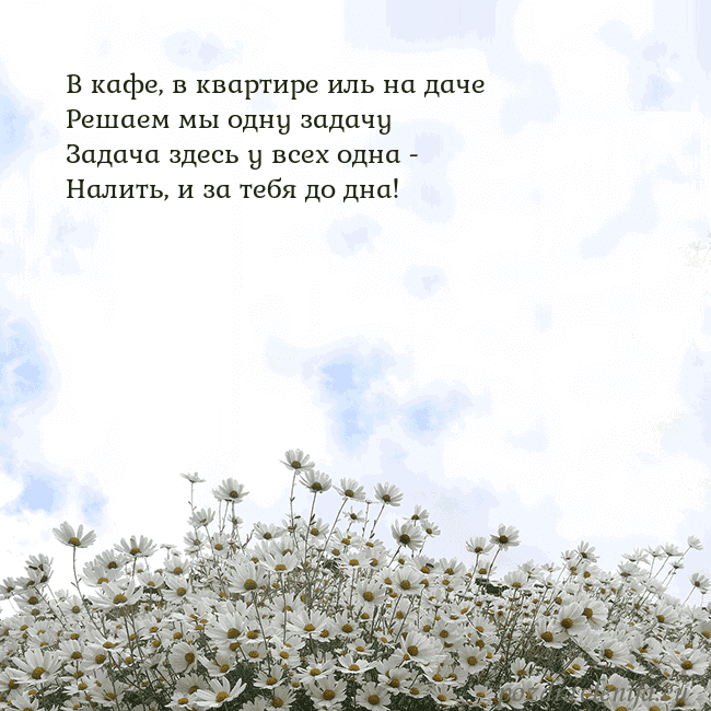 Открытка с ромашками