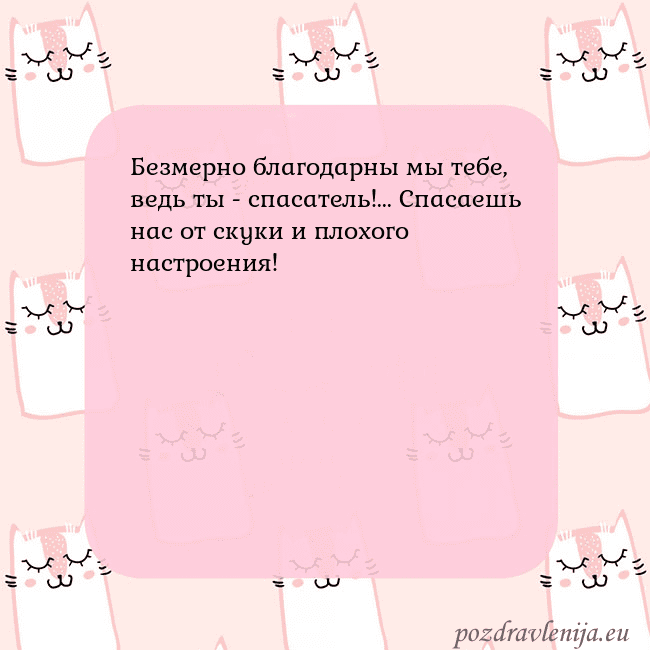 Розовая открытка с забавными кошками