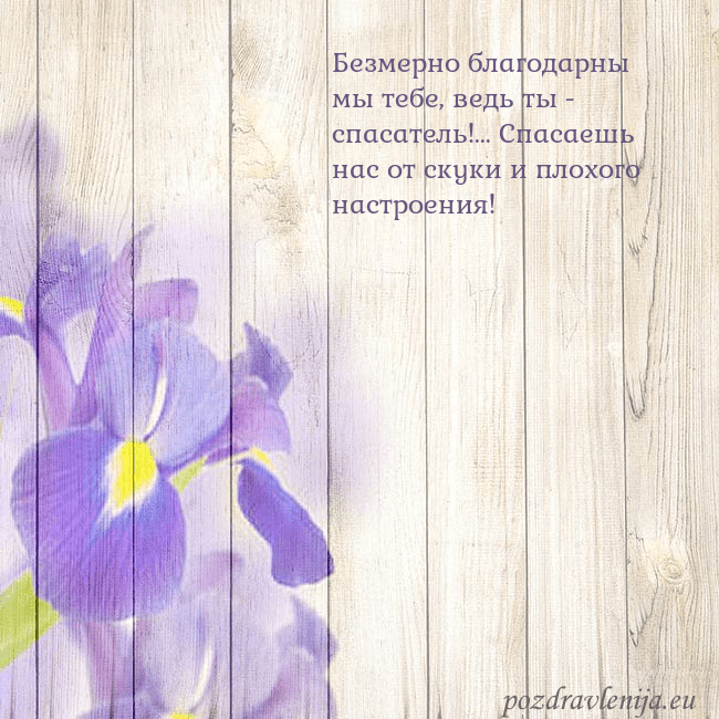 Открытка с ирисами