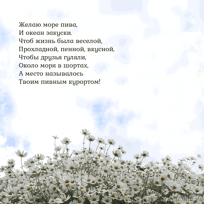 Открытка с ромашками