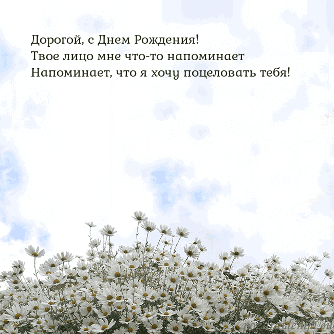 Открытка с ромашками