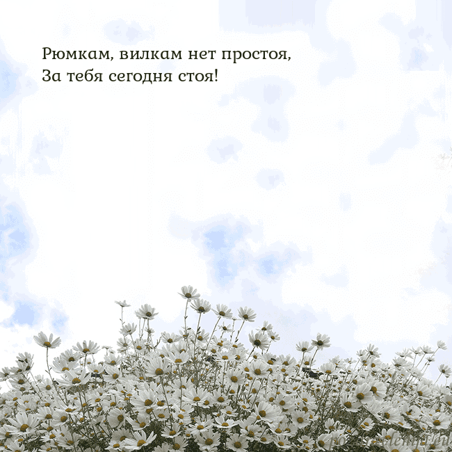 Открытка с ромашками