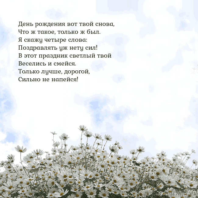 Открытка с ромашками