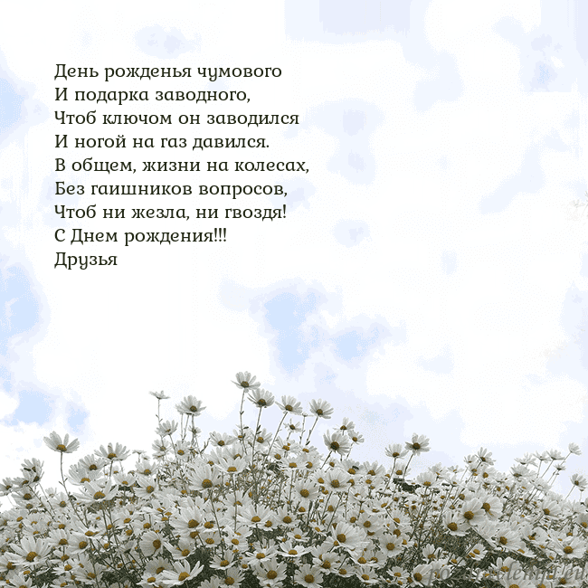 Открытка с ромашками