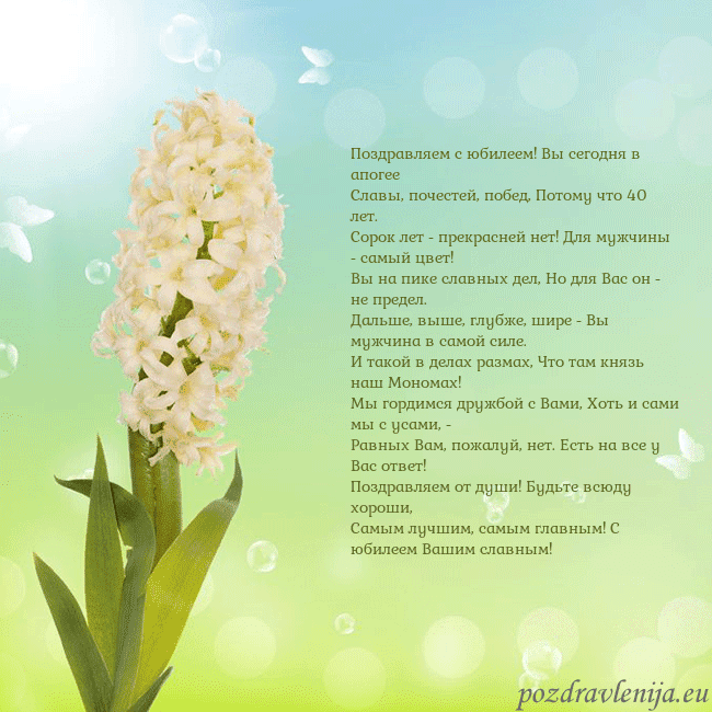 Открытка с гиацинтом