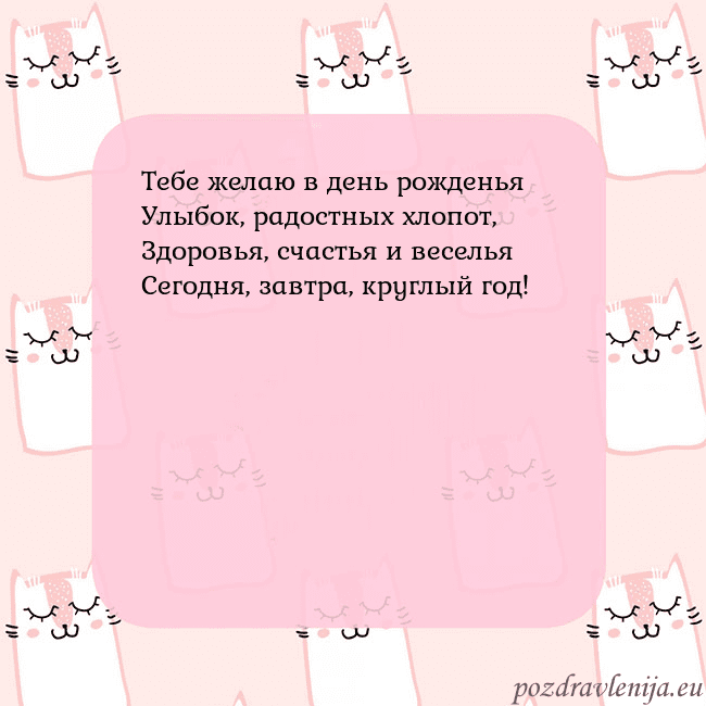 Розовая открытка с забавными кошками