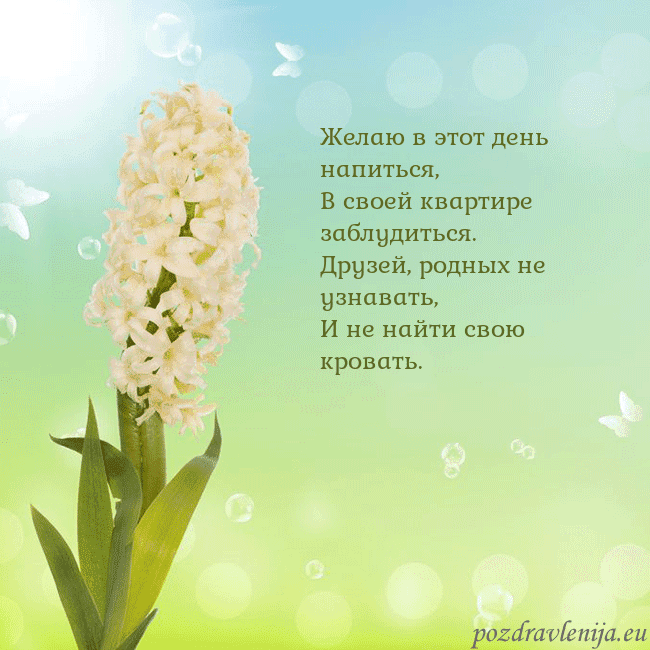 Открытка с гиацинтом