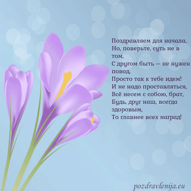 Открытка с крокусом