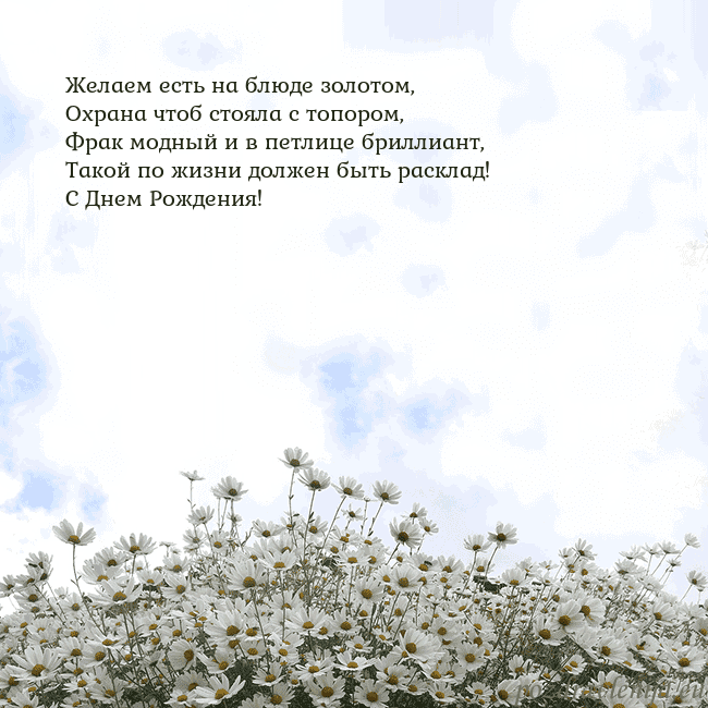 Открытка с ромашками