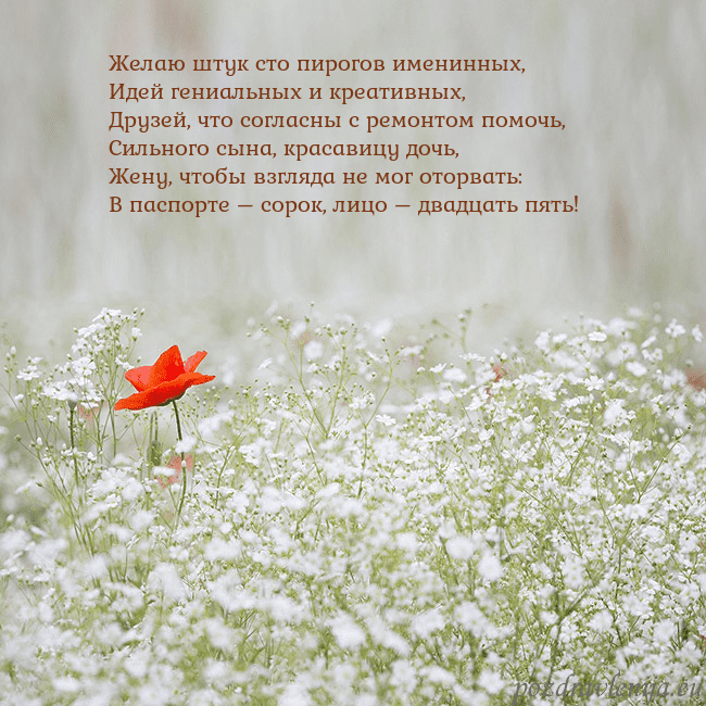 Электронная открытка с белыми цветами