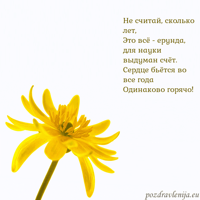 Открытка с желтым цветком