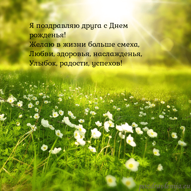 Электронная открытка с утопающим в солнечном свете лугом