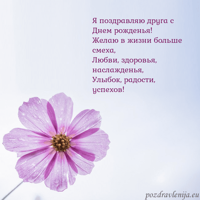 Электронная открытка с фиолетовым цветком