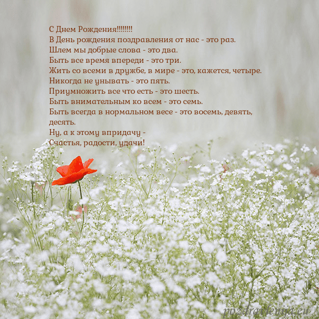 Электронная открытка с белыми цветами