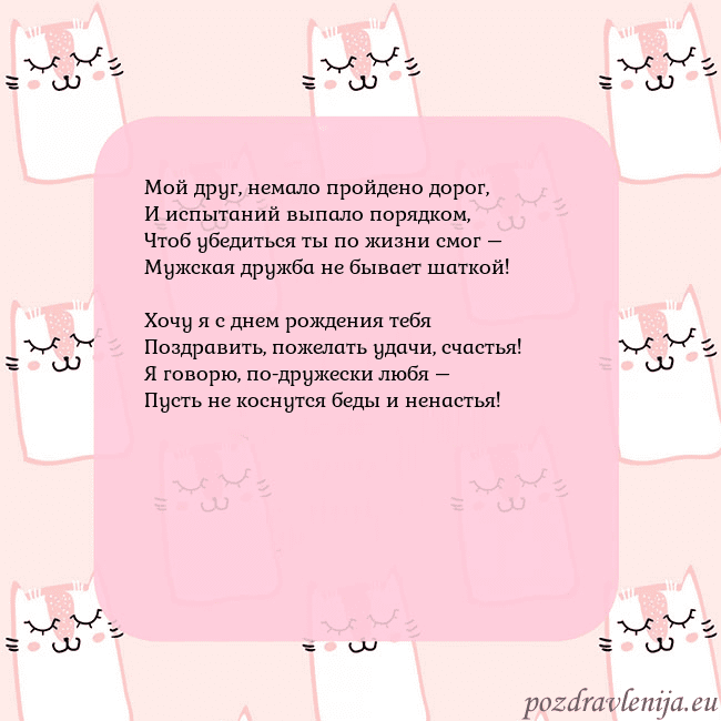 Розовая открытка с забавными кошками