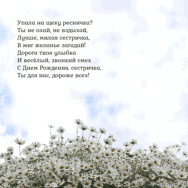 Открытка с ромашками
