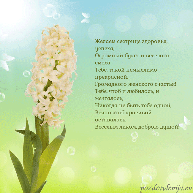 Открытка с гиацинтом