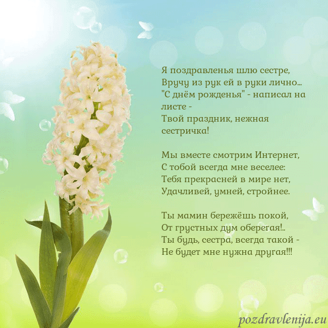 Открытка с гиацинтом