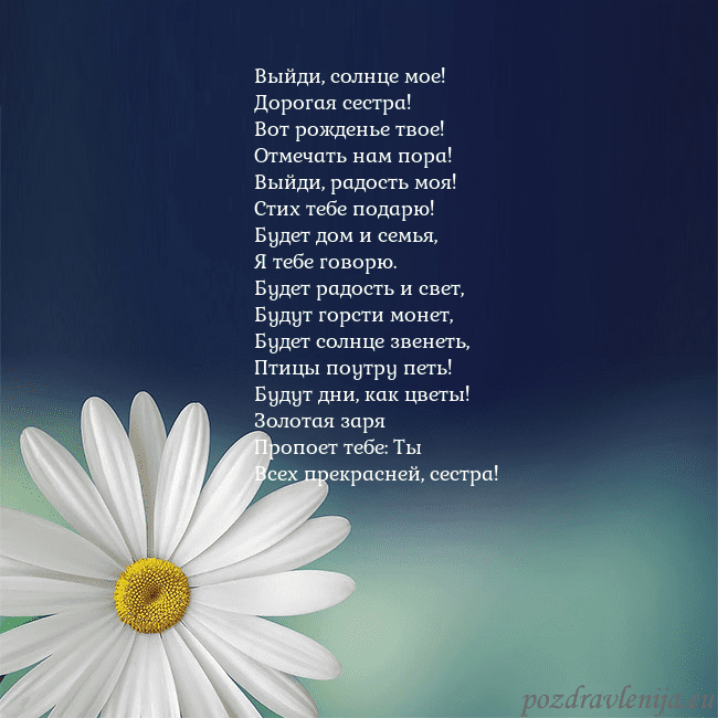 Открытка с большой ромашкой