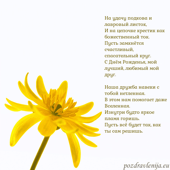 Открытка с желтым цветком