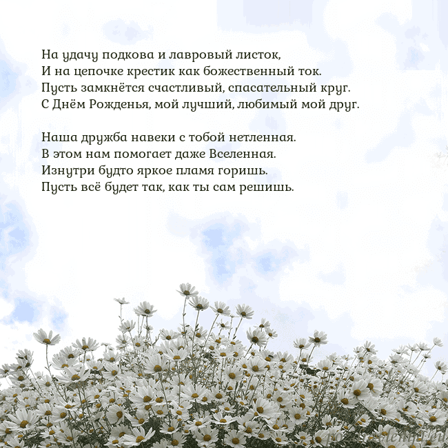 Открытка с ромашками