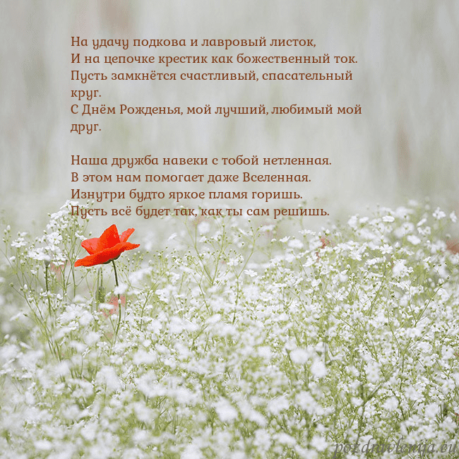 Электронная открытка с белыми цветами