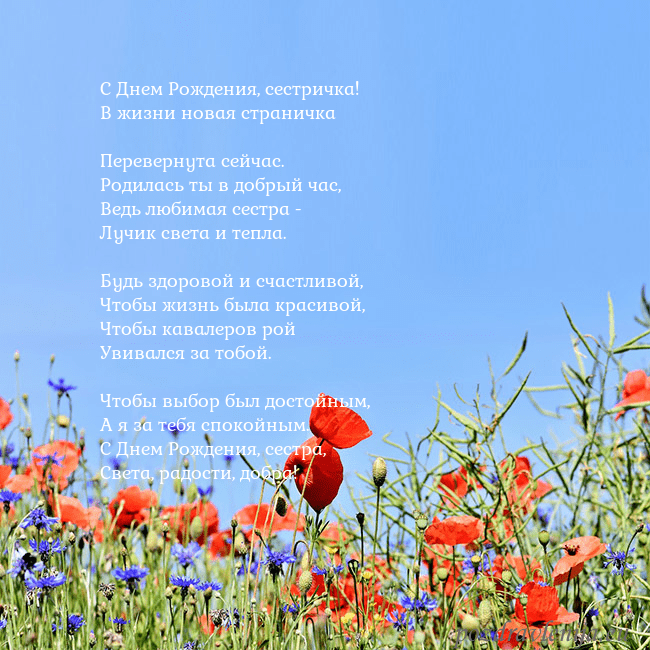 Открытка с маками