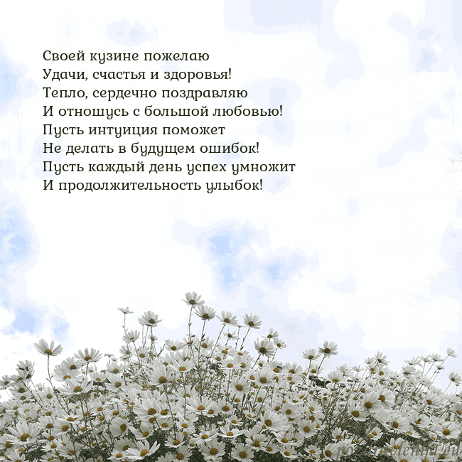 Открытка с ромашками