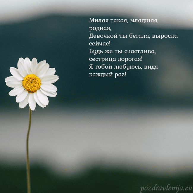 Электронная открытка с ромашкой