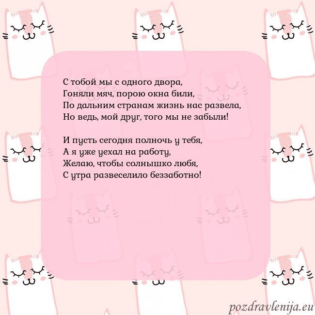 Розовая открытка с забавными кошками