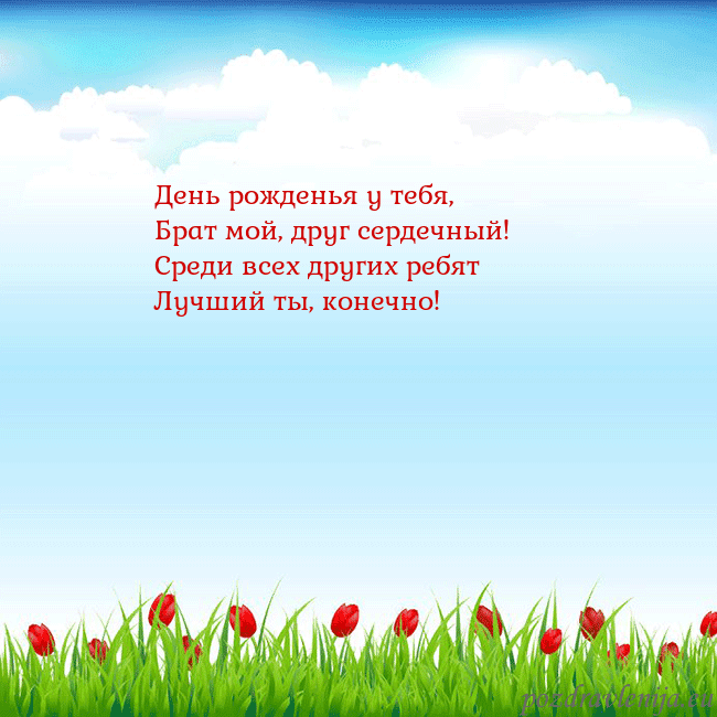 Открытка с тюльпанами