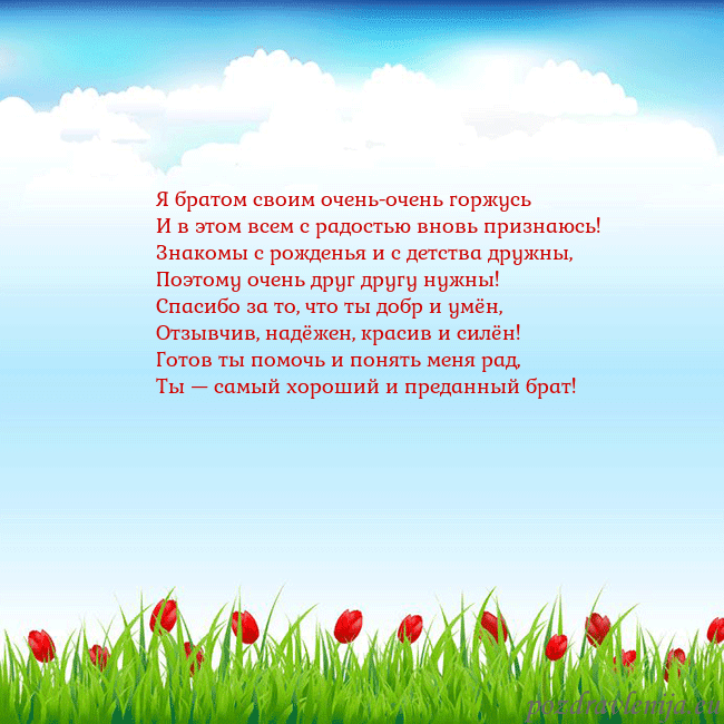 Открытка с тюльпанами