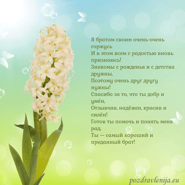Открытка с гиацинтом
