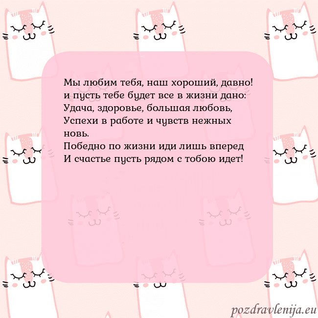 Розовая открытка с забавными кошками