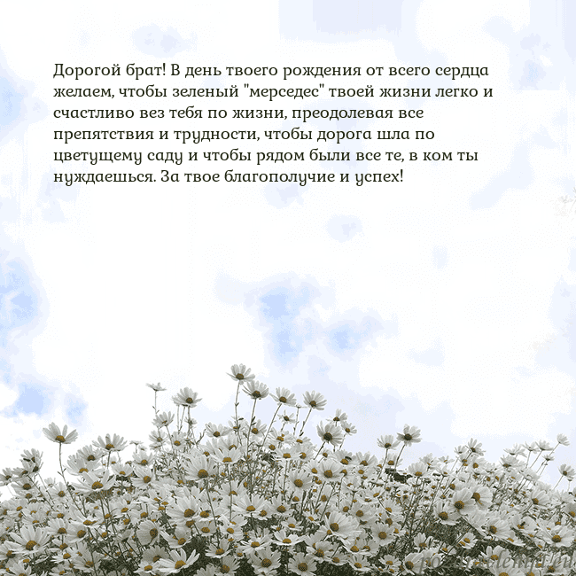 Открытка с ромашками
