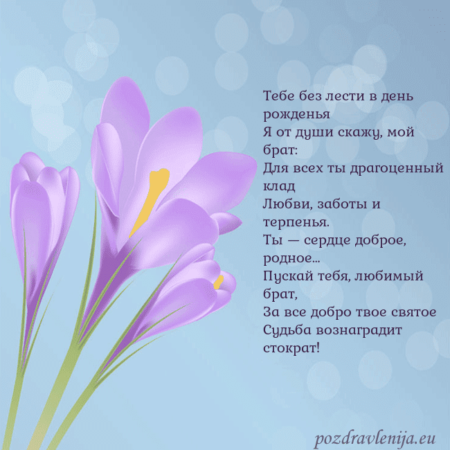 Открытка с крокусом