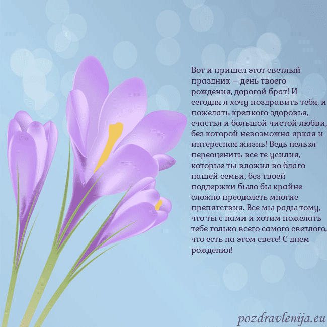 Открытка с крокусом