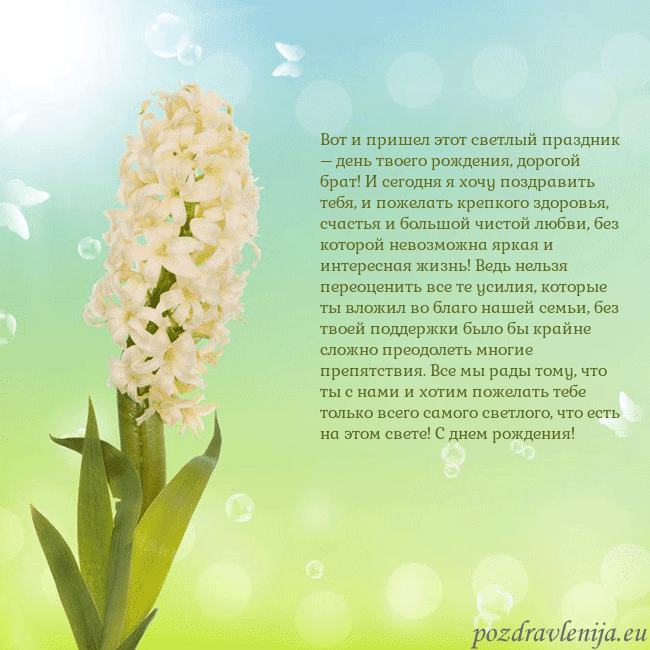 Открытка с гиацинтом