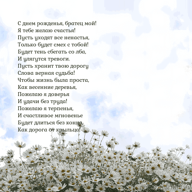Открытка с ромашками