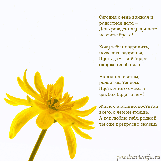 Открытка с желтым цветком